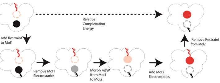 Figure 2: Path used to determine the relative complexation interaction energy of two ligands using a  dual topological approach