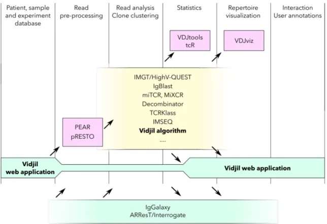 Fig 1. Repertoire Sequencing (RepSeq) analysis software generally take as input a set of reads and process this set analyzing V(D)J recombinations and gathering them into clonotypes while computing statistics on the repertoire.