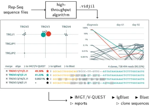 Fig 2. The Vidjil web application reads a .vidjiljson file produced by a RepSeq algorithm gathering reads into clonotypes