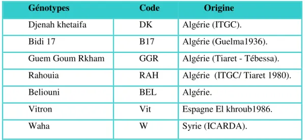 Tab. 01 :  Les génotypes étudiés et leurs origines  