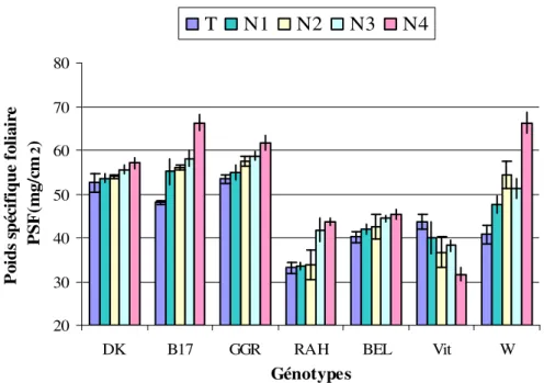 Fig. 08 : Variation du poids spécifique foliaire des sept génotypes de blé dur soumis aux  différents niveaux de stress hydrique