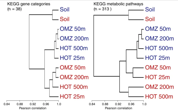 Figure 6 Clustering of samples based on gene function. Samples are hierarchically clustered based on the proportional abundance of KEGG gene categories and metabolic pathways in expressed (DNA+RNA; red) and non-expressed (DNA-only; blue) gene fractions in 