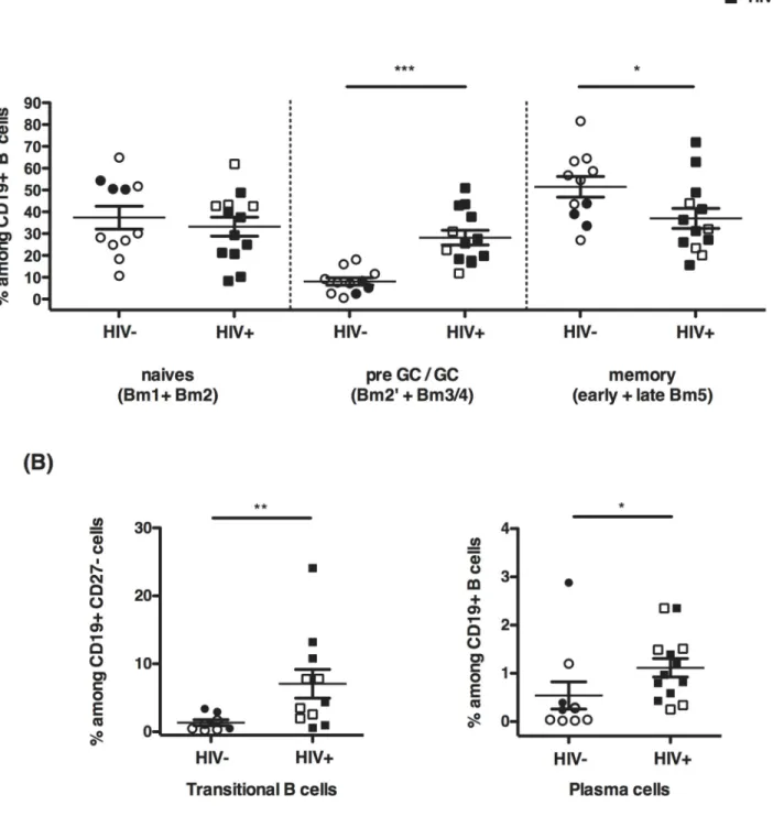 Fig 2. GC B cells accumulate whereas memory B cell compartment is reduced in HIV+ spleens