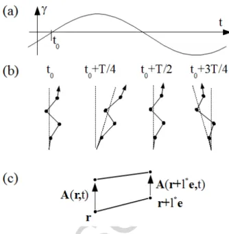 FIG. 1. (a) A sinusoidal shear of displacement γ. Time t 0