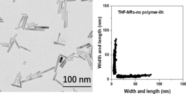 Figure 7 depicts a TEM image of the obtained nanorods. Their dimensions are 36 ± 14 nm by 6 ± 1 nm