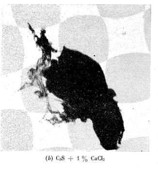 Fig. 11.  -  Electron luicrographs of tricalciun~  silicate hydrated  for  one  111onth (mag:  X  12,  000)