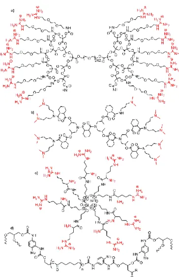 Fig.  15.  Examples  of  dendrimers  and  hyper-branched  polymers  combined  with  clays,  and used for biological purposes
