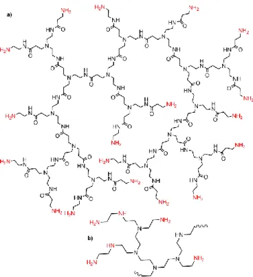 Fig.  7.  a)  Example  of  hyper-branched  PAMAM  (HB-PAMAM);  b)  example  of  hyper- hyper-branched polyethyleneimine
