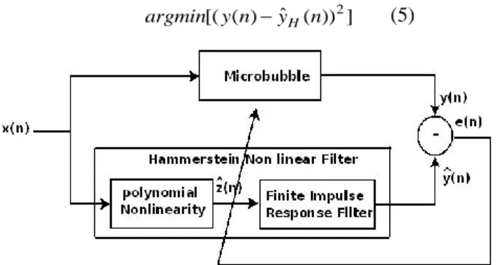 Figure 1.   Identification of the nonlinear system of  microbubble with  Hammerstein model
