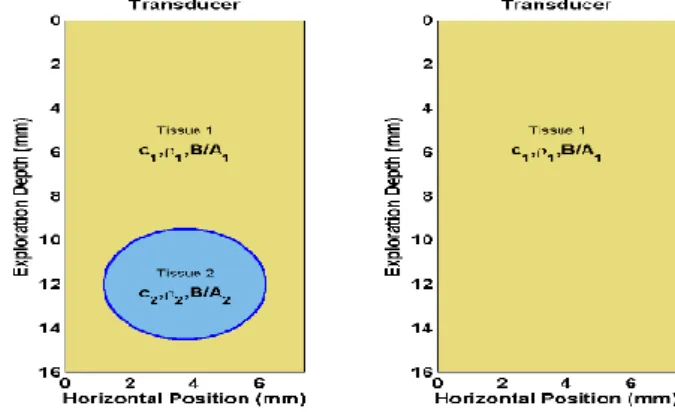 Figure 2. Grid of properties of the medium with the inclusion (left) and of the reference medium without  inclusion:  c  is the wave velocity,    the density and B/A the nonlinearity parameter