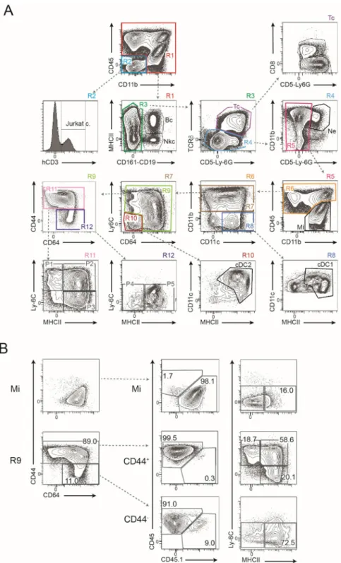 Figure 1.  Gating strategy used for analyzing all immune cells within the CNS at steady state or during  inflammatory conditions