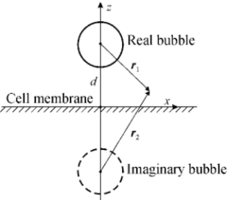 Figure 2 : An encapsulated bubble near the cell membrane.