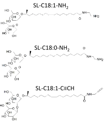 Figure 1 – Chemical structure of monounsaturated aminyl sophorolipid, SL-C18:1-NH 2 , saturated aminyl  sophorolipid, SL-C18:0-NH 2  and monounsaturated alkynyl sophorolipid, SL-C18:1-C≡CH