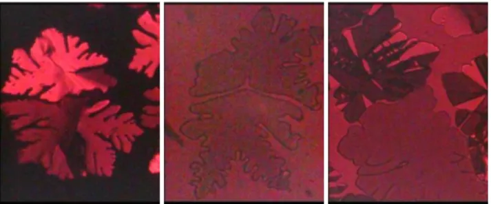 Figure  3.  Mesophase  domains  growing  from  the  isotropic  liquid  between  glass  plates  on  cooling  through  the  liquid  to  mesophase  transition  of  16b  (left,  pseudohomeotropic with residual birefringence), 16c (center, homeotropic) and 4d (