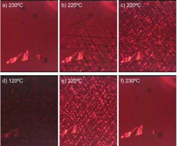 Figure 7. Sequence of textures at different temperatures of an initially homeotropic sample of 16d between glass plates