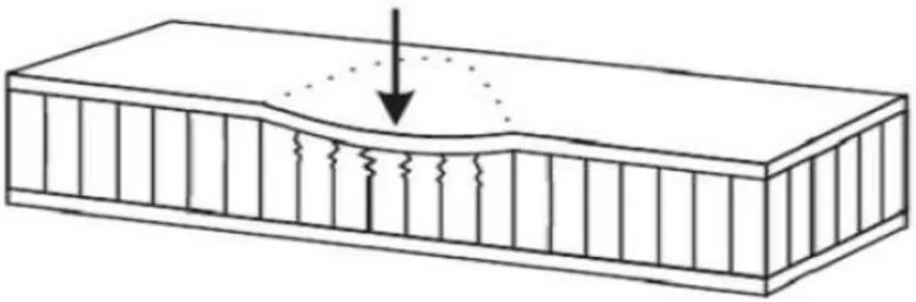 Figure I.7: Modes locaux de rupture par indentation [14]. 
