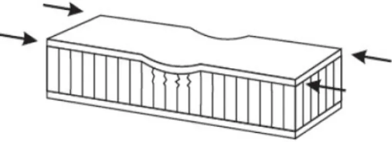 Figure I.11: Flambement localisé «dampling» [15]. 