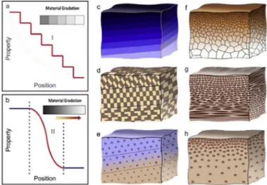 Figure I.4: Matériaux fonctionnellement classés avec différentes formes de gradient  [ Chen  et  al