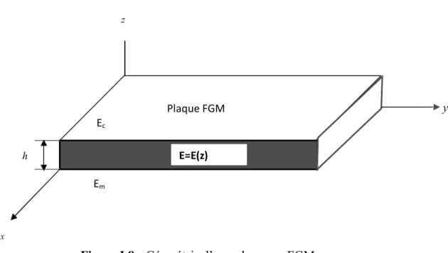 Figure I.8 : Géométrie d’une plaque en FGM. 
