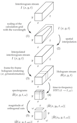 Fig. 1: Sketch of the process of image propagation. The raw data in the camera plane are transferred in the image plane and are expressed with depth.