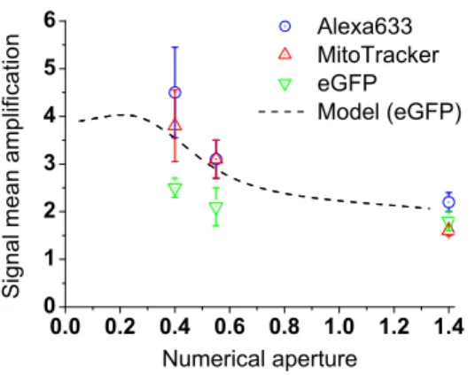 Figure 6 shows a closeup of a region of interest, taken from Fig. 5 (area limited by a white dashed line), which top half is silver-coated (the glass slide is bare in its bottom half)