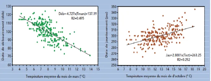 Fig. 9 : Relation entre les dates de débourrement et la température moyenne de mars (à  gauche) et entre les dates de jaunissement et la température moyenne d’octobre (à droite)  pour les chênaies de la France (période 1997-2006)