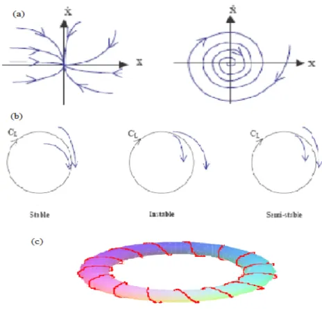 Fig. 2.4 – Les attracteurs réguliers : (a) Points …xes attracteurs, (b) Cycles limites, (c) Un tore.