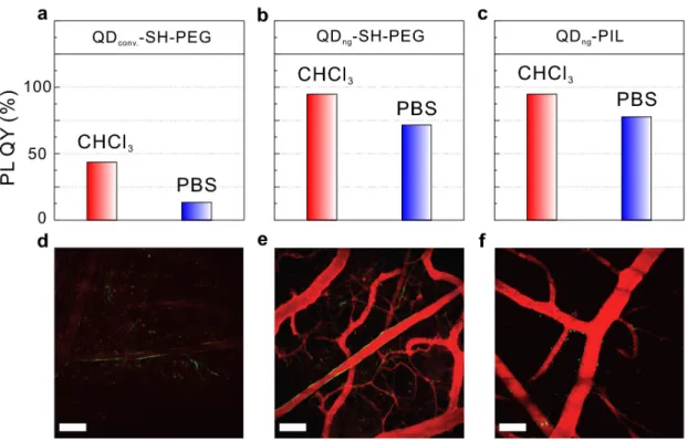 Figure 5. Water-soluble CdSe/CdS core/shell QDs for in vivo imaging. a-c PL QYs of CdSe/CdS  core/shell QDs before ligand exchange in chloroform (CHCl 3 ) and after ligand exchange in phosphate  buffer saline (PBS 1X, pH 7.4)