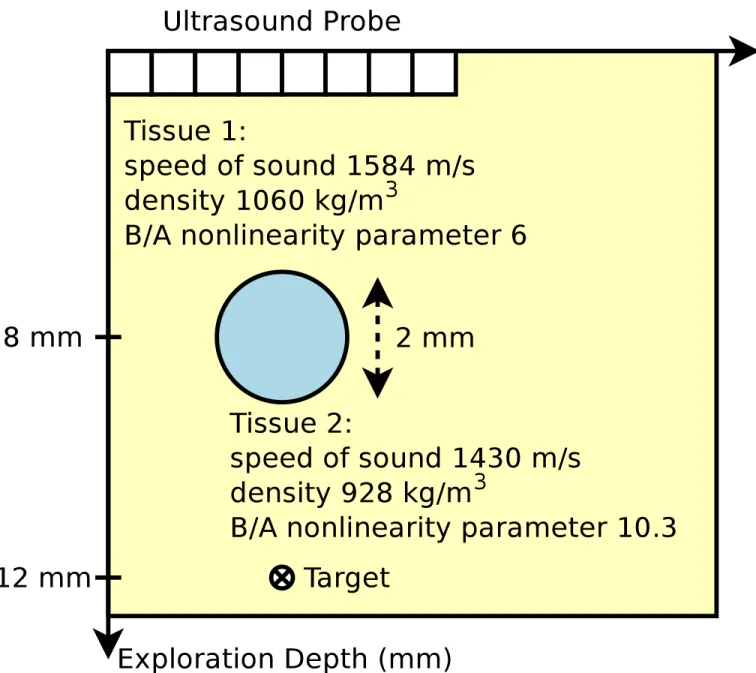 Fig. 3. Grid of medium properties. The ultrasound transducer was at a depth of 0 mm, here at the top
