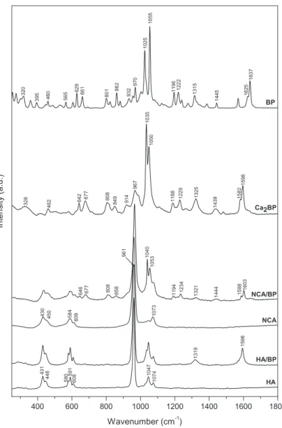 Fig. 5. Raman spectra of the risedronate sodium salt (BP), risedronate calcium salt (Ca 2 BP), hydroxyapatite and nanocrystalline apatite powders before (HA and NCA) and after uptake of risedronate (HA/BP and NCA/BP).