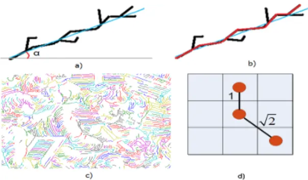 Figure 2. Characteristics of skeletons − (a) Major axis orientation of a skeleton and the angle formed by this axis with the horizontal axis − (b) The dominant branch of a skeleton − (c) Complicated structure of multiple branches of skeleton − (d) Euclidea