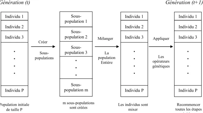 Fig. 2.1 : Schéma de la sélection VEGA   