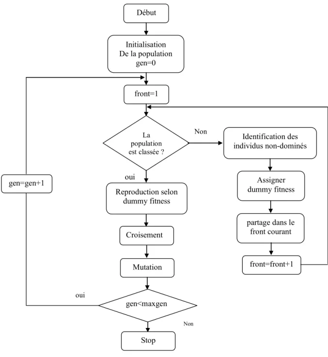 Fig. 2.4 : Organigramme du NSGA 