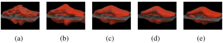 Fig. 3. Surface plots of the gradient amplitude of a synthe- synthe-tic 4D image : (a) f k (best contrasted channel), (b) with equal weighting of all channels, (c) with proposed weighting scheme