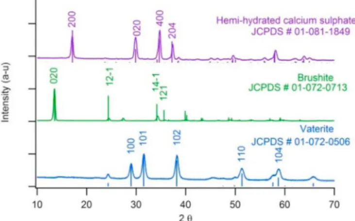 Fig. 1. XRD patterns of the reactive powders.