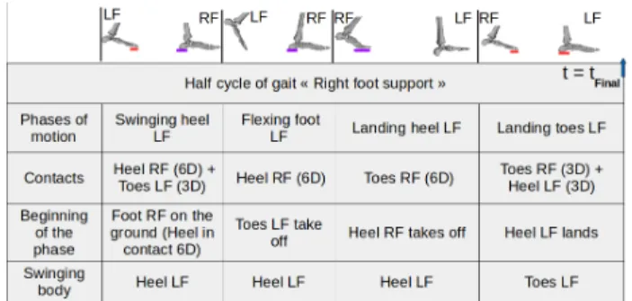 Fig. 2. Decomposition of the gait cycle. RF: right foot, LF: left foot. 3D: