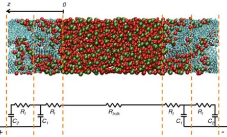 Figure 2 shows the time evolution of the average charge per carbon inside the positive electrode for each of the three diﬀerent porous materials studied after the potential diﬀerence is applied between the electrodes.