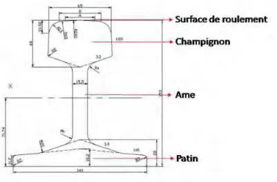 Fig. I.3.  Rail à patin et différents types de rail [30] 