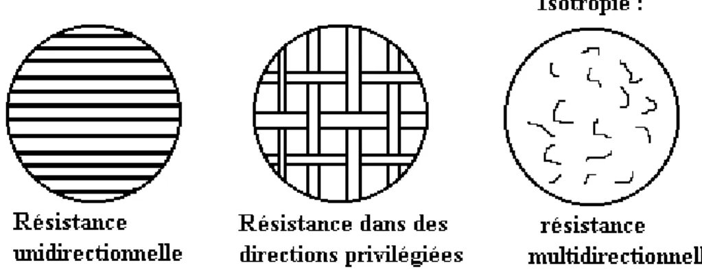 Figure I-1 Classification des matériaux composites  1.5 La fibre:  