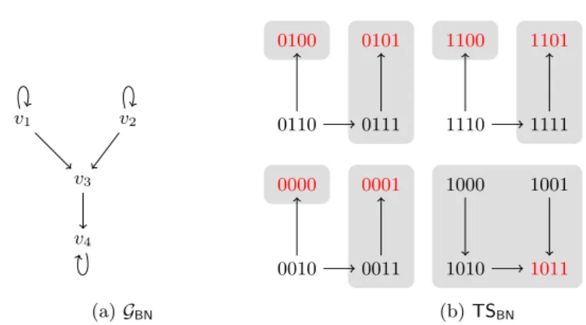 Fig. 2: The graph of BN and its transition system, with the attractors in red.
