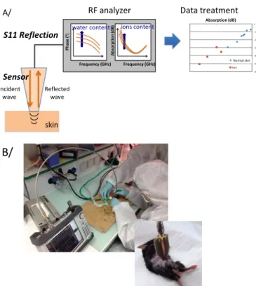 Fig.  5.    Schematic  view  (A)  and  photography  (B)  of  the  portable microwave test setup for skin characterization of  mouse in sterile environment