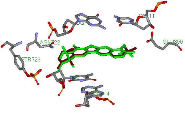 Figure  19.  Superposition  de  la  conformation  du  ligand  TTG  donnée  par  rayon-X    (coloré  en  marron) et celle simulée par Surflex (coloré en vert)