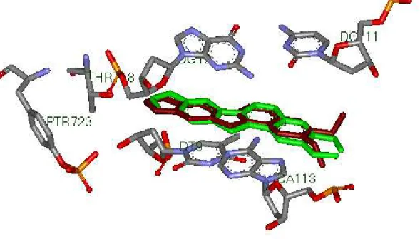Figure 21. Superposition des géométries du ligand AI3 données par rayon-X  (coloré en marron)  et par modélisation avec Surflex (coloré en vert)