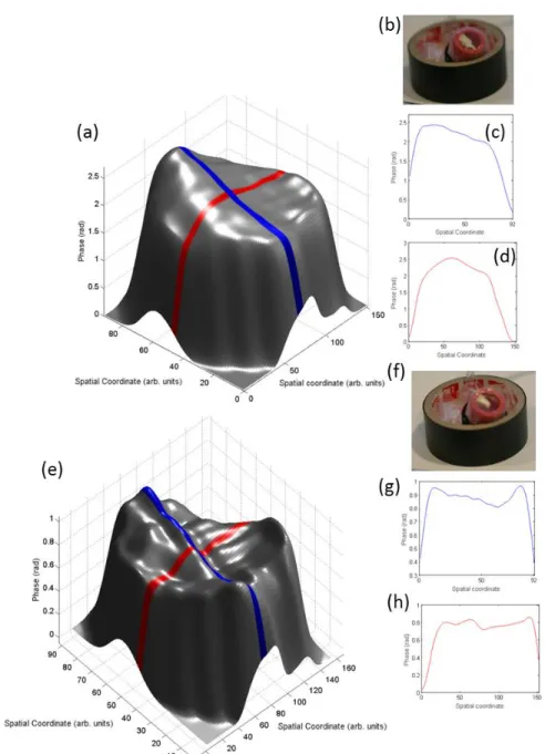 Fig. 5 3D imaging of the TM phantom. (a) Reconstruction of the phantom when a positive pressure was 