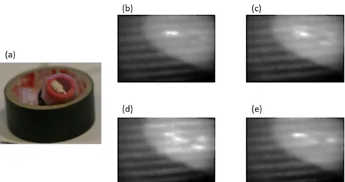 Fig. 3 Phantom object and fringe pattern projections. (a) Photograph of a phantom with positive curvature 