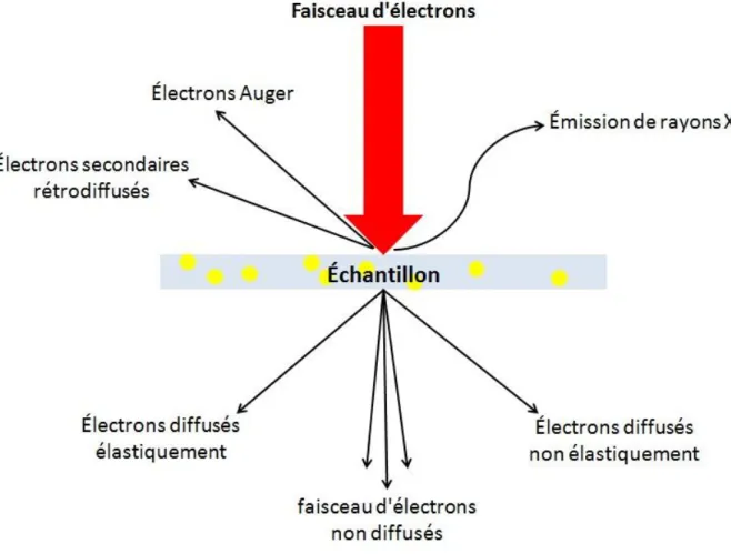 Figure 34 : Schéma des différents types d'interactions entre les électrons et l'échantillon