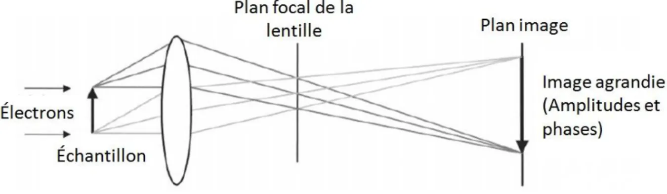Figure 35 : Schéma du chemin optique de la formation de l'image (adapté de Saibil, 2000)