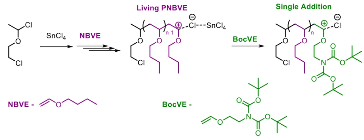 Figure 2 | Single addition in living cationic polymerization of n-butyl vinyl ether. 