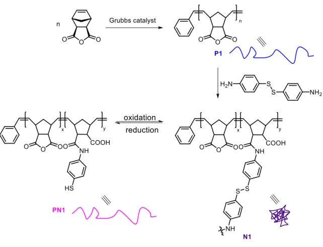 Figure  24  |  Reversible  single-chain  nanoparticle  formation  through  intramolecular  disulfide bond