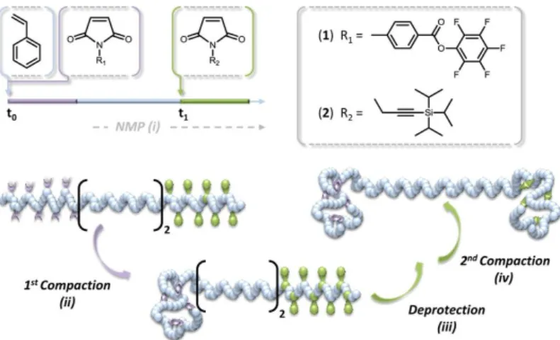 Figure  25  |  Sequence-controlled  copolymer  synthesized  by  time-controlled  additions  of  pentafluorophenyl  4-maleimidobenzoate (1) and  TIPS-protected N-propargyl  maleimide (2)